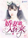 暖宠妻子