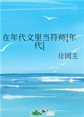 在年代文里当符师[年代