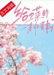 给卫莱的一封情书TXT