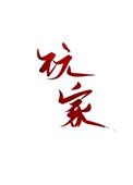 玩家电影完整版在线看