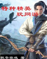 特种精英小组