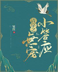 清穿之无宠小答应28