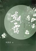 朝露 非木非石