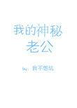 书名我的神秘老公 作者我不想坑