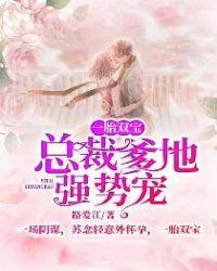一胎双宝总裁爹地特别甜