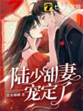 陆少甜妻宠定了 第341章