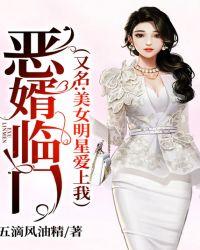 恶婿 作者小d