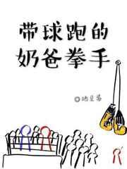 奶爸拳手txt百度