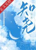 知尧若述免费阅读无弹窗