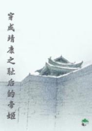 穿成靖康之耻后的帝姬作者映在月光里笔趣阁
