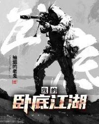 我的卧底江湖没啥没写完