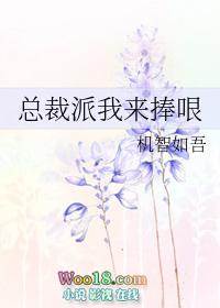 总裁派我来捧哏全文阅读