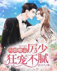 厉少的闪婚新妻