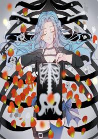 海贼王代理