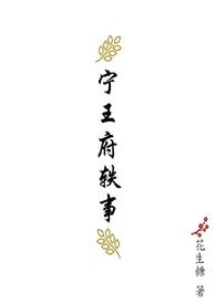 宁王府任务