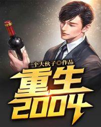 重生2004之财富崛起