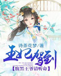 腹黑王爷王妃要休夫