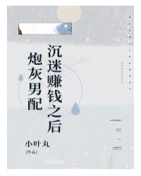 炮灰男配沉迷赚钱之后 祝糖txt