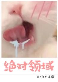 男生的绝对领域是什么
