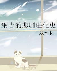 纲吉是啥意思