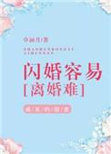 闪婚难离大结局是什么意思