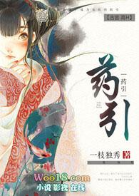 药引子