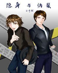 隐身伪装蒙皮种的应用