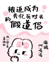 被迫成为失忆死对头的假道侣完整版
