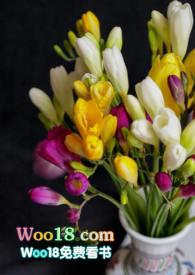 小苍兰的花语是什么