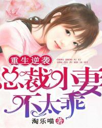 重生总裁小媳妇