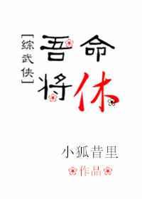 综武侠吾命将休无错版