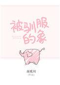被驯服的象是什么风格