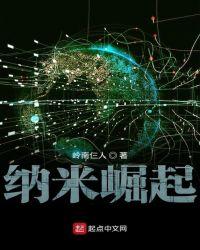 纳米崛起 作者 岭南仨人