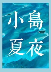 小岛夏夜简介