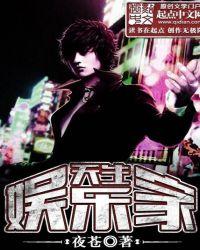 天生娱乐家txt精校版