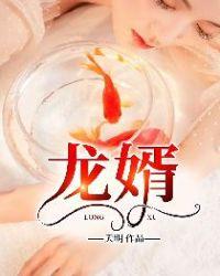 龙婿叶辰萧初然最新章节更新