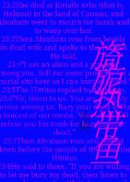 旖旎热带鱼免费阅读