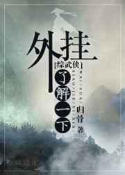 综武侠辅助