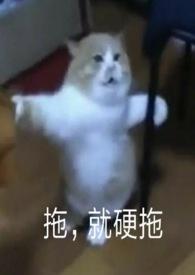 魅魔 第1+2季1-5+番外2