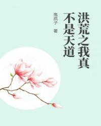 洪荒之我真不是天道无弹窗