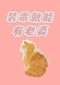 装乖就能有老婆百度