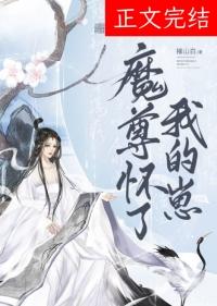 魔尊怀了我的崽叶飞音免费阅读