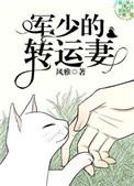 军少的转运妻攻是谁