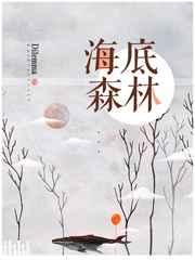 海底森林只有树木吗还有什么