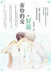 你给的爱是什么电视剧