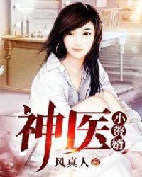 神医赘婿八方镖客