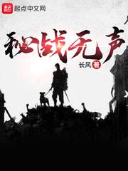 秘战无声免费完整版