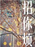 招你烦by初禾全文免费
