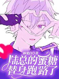 陆总糖糖
