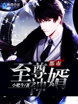 都市至尊赘婿
